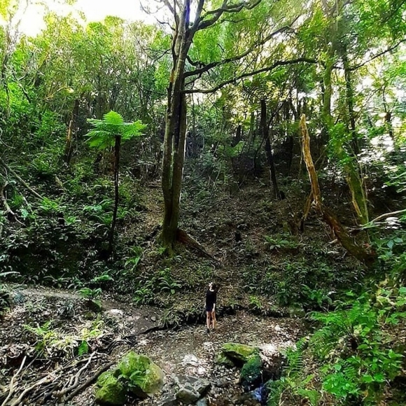 Meet your Posher, Elly - Picture 1 of 2